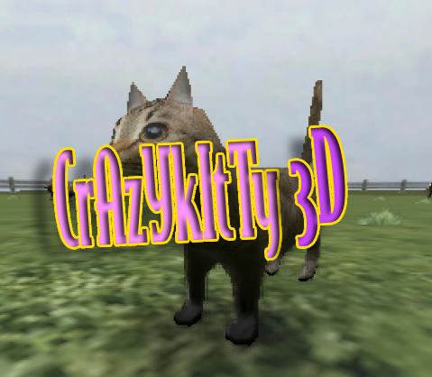 Crazy Kitty 3D